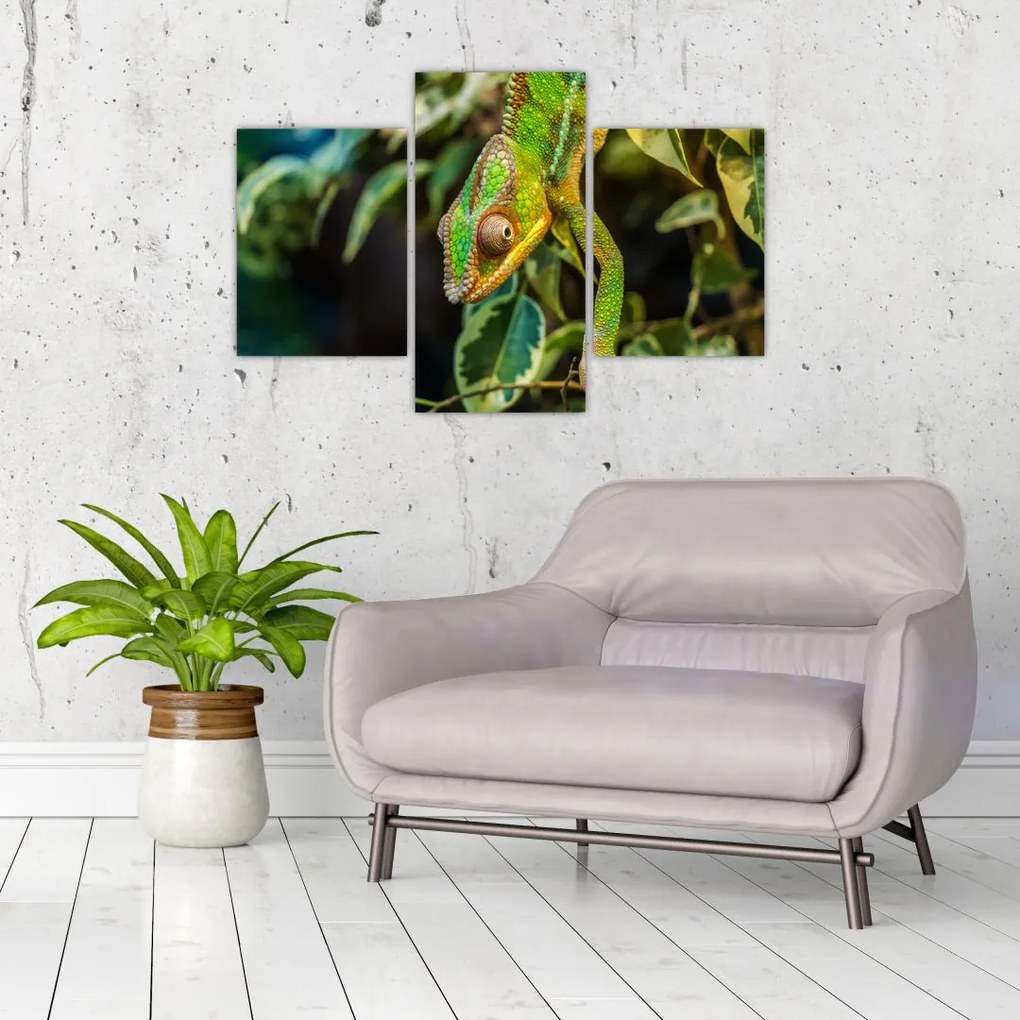 Tablou cu cameleon (90x60 cm)