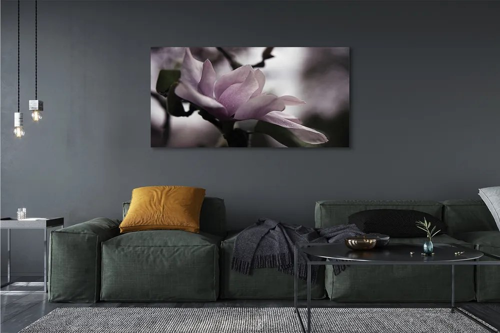 Tablouri canvas Magnolie