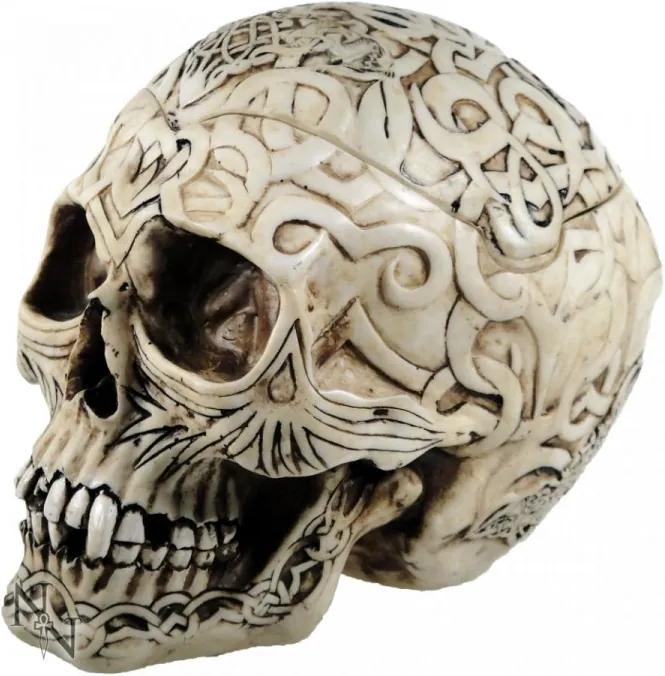 Cutie bijuterii Craniu Celtic 20 cm