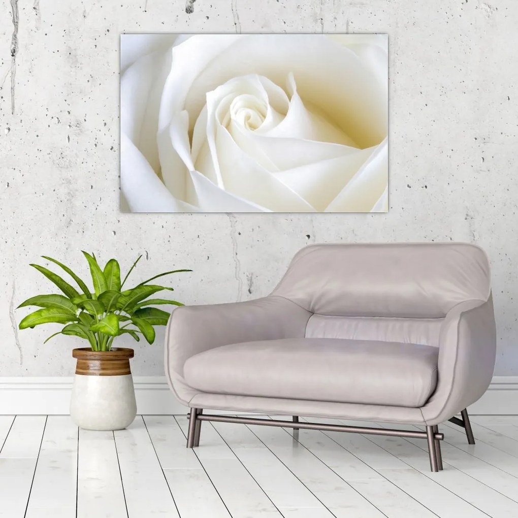Tablou cu tandafir alb (90x60 cm)