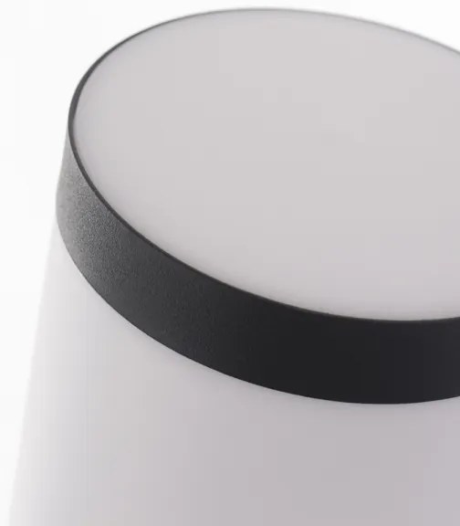 Rabalux 8147 - Lampă exterior BLACK TORCH 1xE27/25W/230V IP44