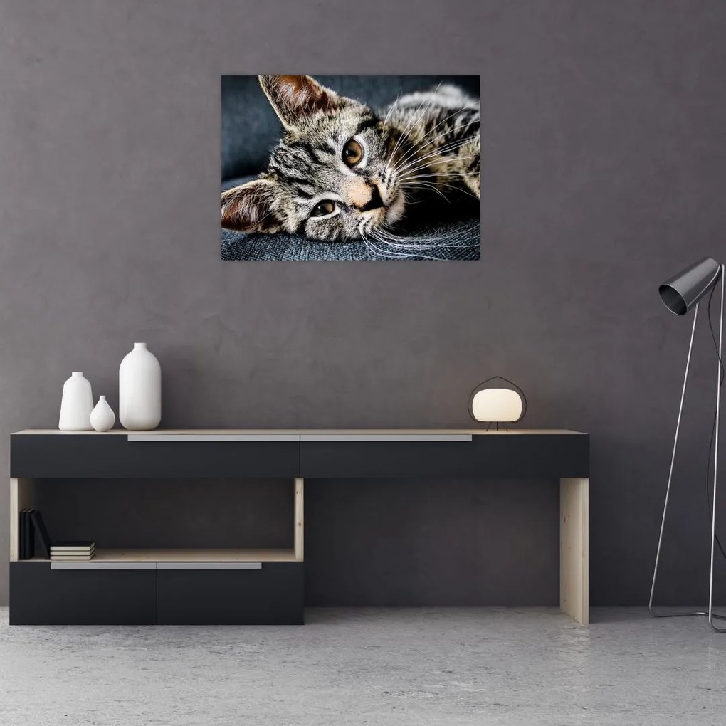 Tablou - Pisoi (70x50 cm)