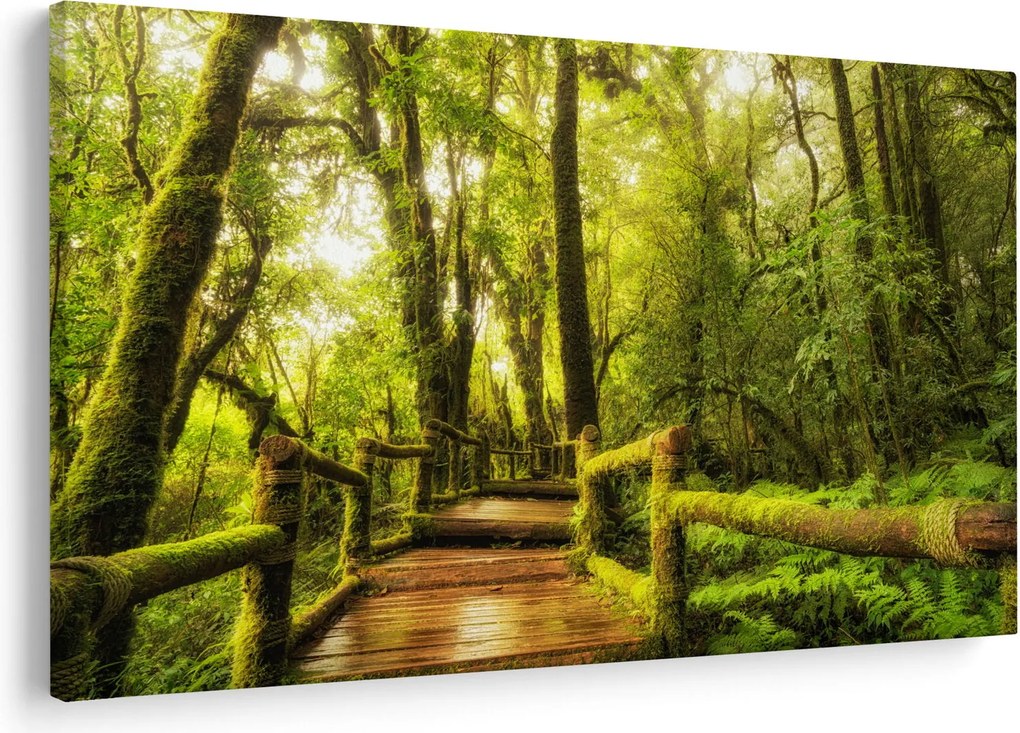 Tablou junglei cu mușchi (90x60 cm)