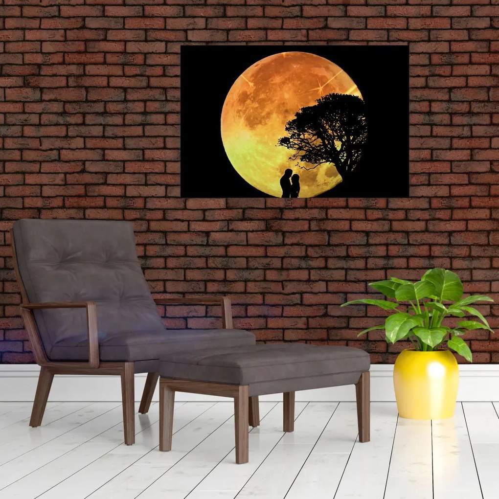 Tablou cu umbre în lumina lunii (90x60 cm)