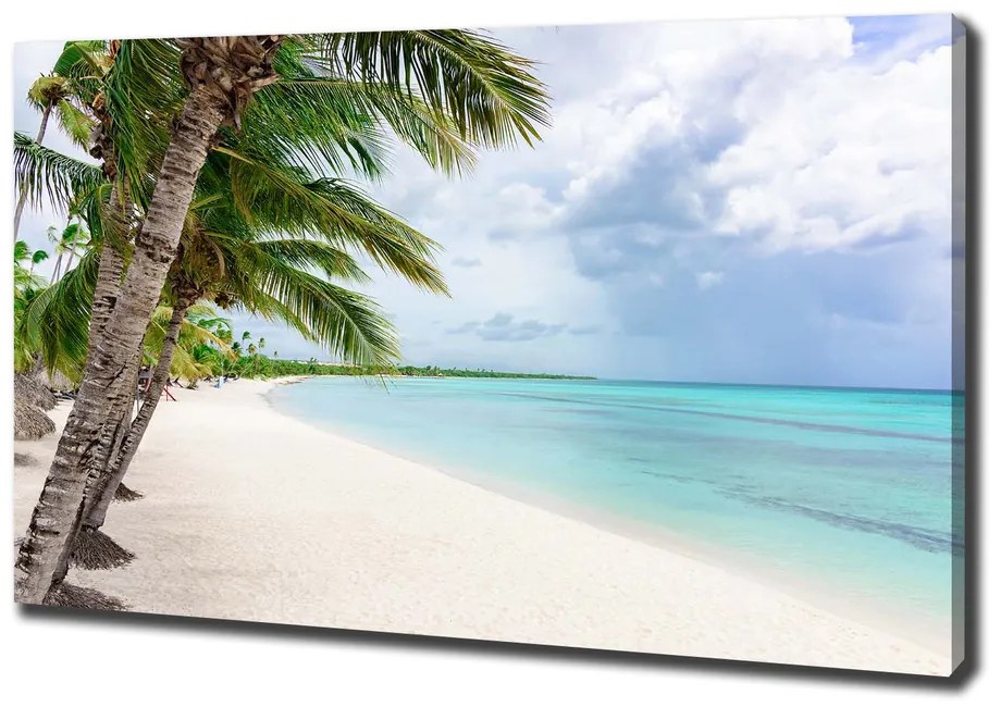 Print pe pânză Plaja tropicala