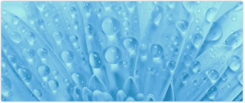 Tablou - Macro împușcat de o floare (120x50 cm)