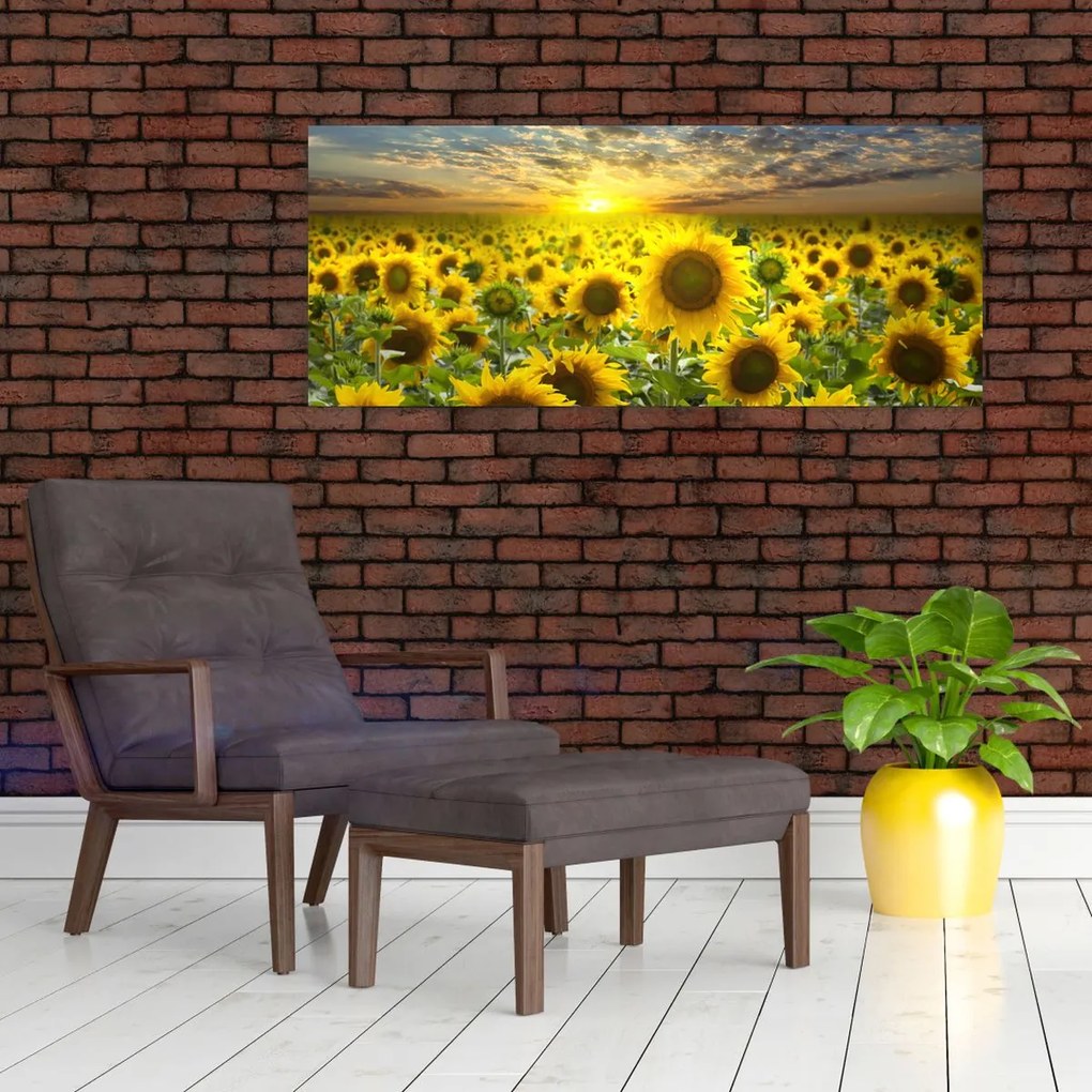 Tablou - Floarea-soarelui la apus de soare (120x50 cm)