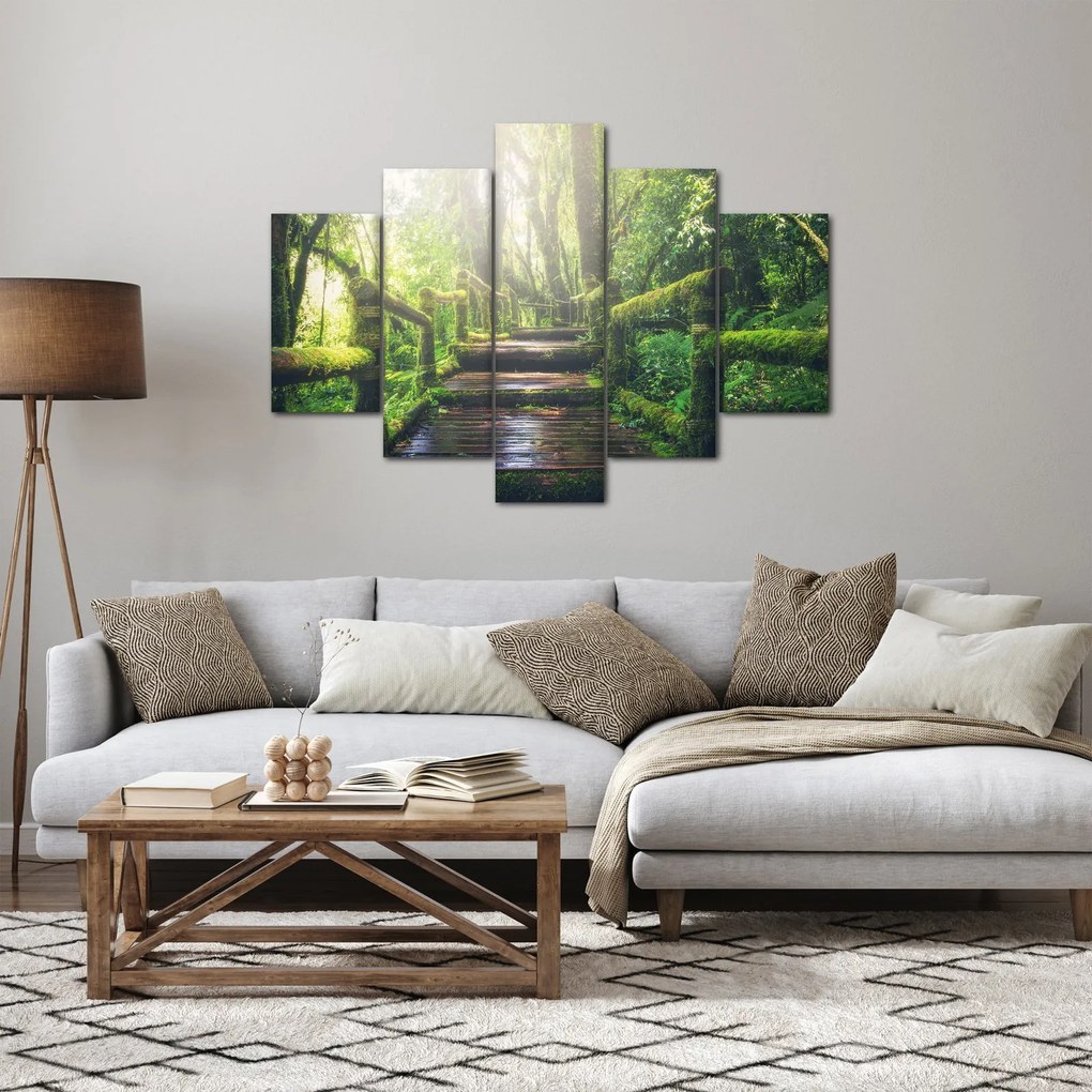 Tablou - trepte din lemn în pădure (150x105 cm)