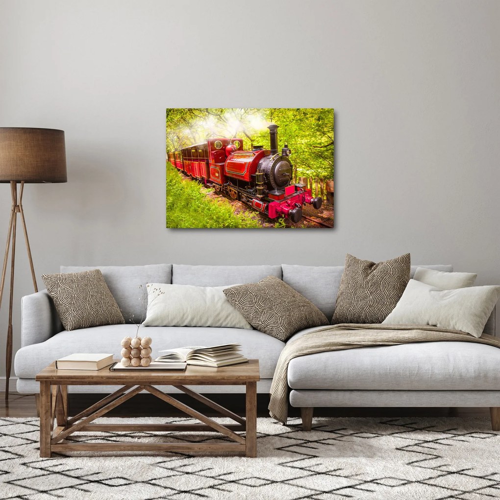 Tablou - Tren cu aburi (70x50 cm)