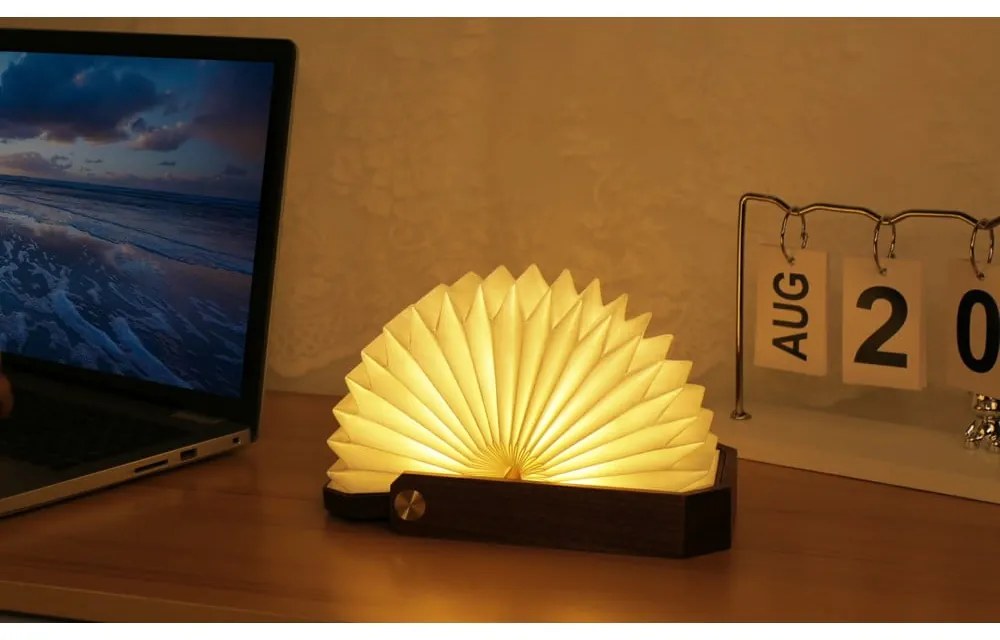 Decorațiune luminoasă albă/în culoare naturală închisă cu USB Origami – Gingko