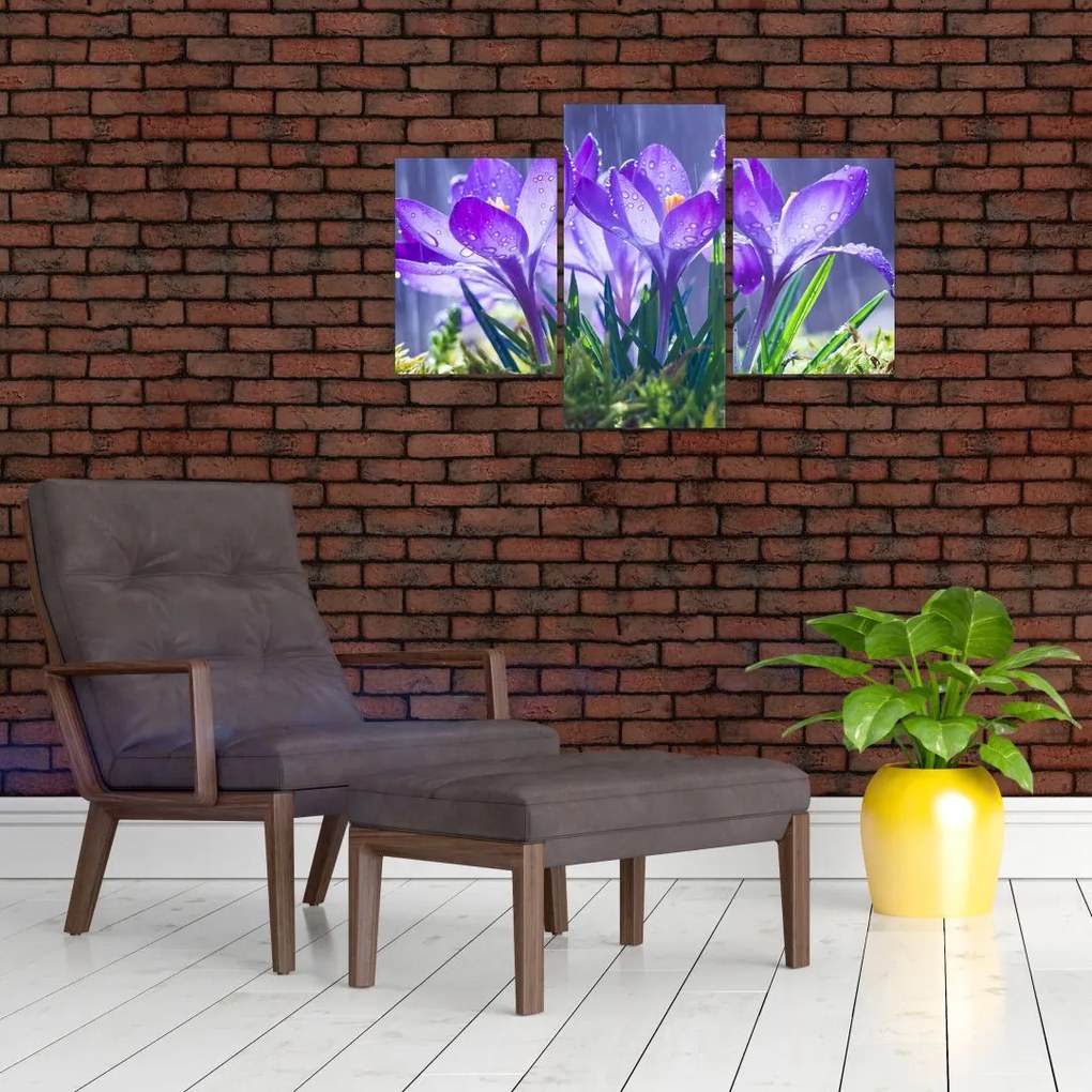 Tablou cuflori în ploaie (90x60 cm)