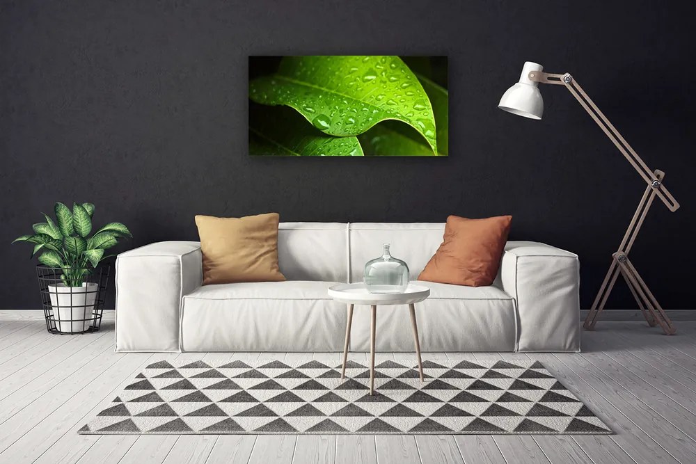 Tablou pe panza canvas Picături de rouă Leaf Floral Verde