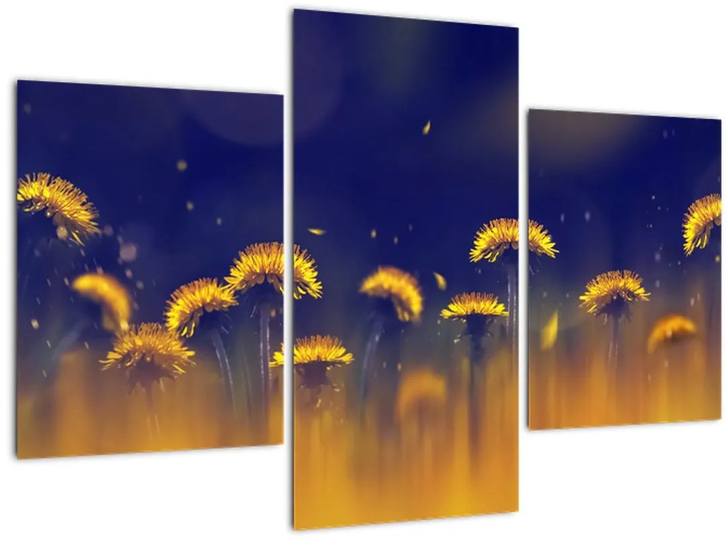 Tablou - Păpădii (90x60 cm)