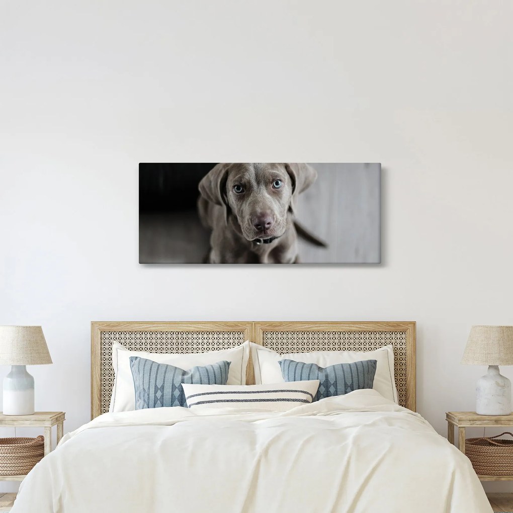 Tablou cu cățeluș (120x50 cm)