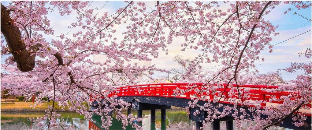 Tablou - Hirosaki, Japonia (120x50 cm)