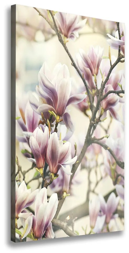 Imprimare tablou canvas Magnolie