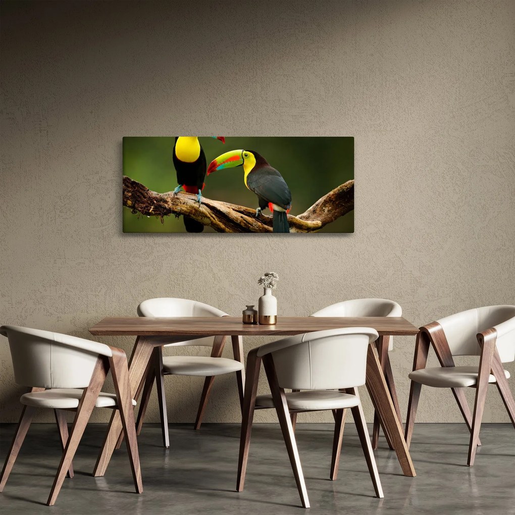 Tablou tucani sezând , Costa Rica (120x50 cm)