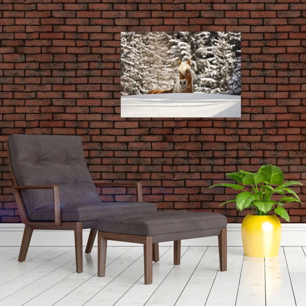 Tablou - Cal în peisaj de iarnă (70x50 cm)