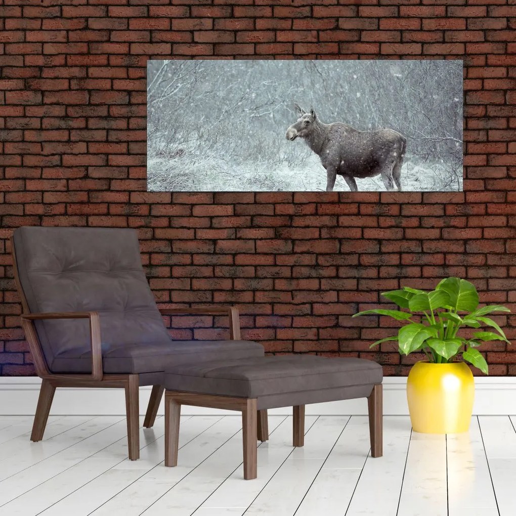 Tablou - Elan într-o pădure înzăpezită (120x50 cm)