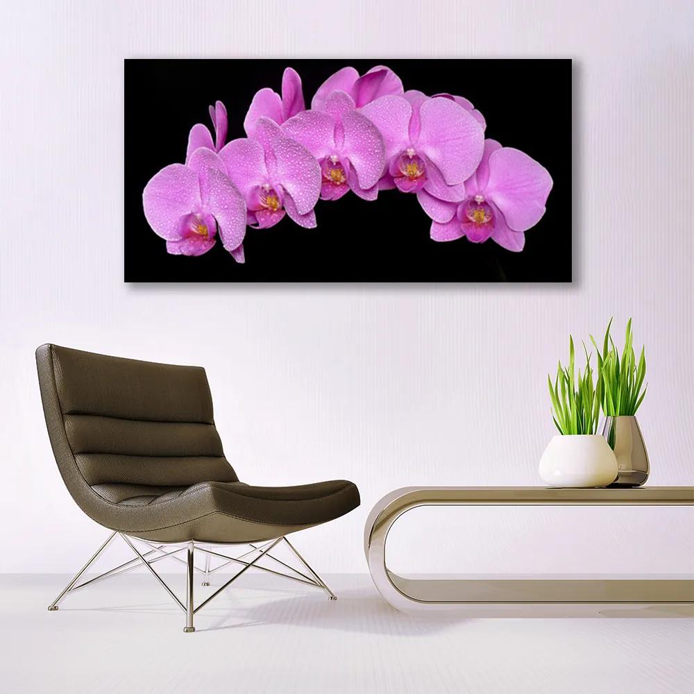 Tablou pe panza canvas Flori Floral roz negru