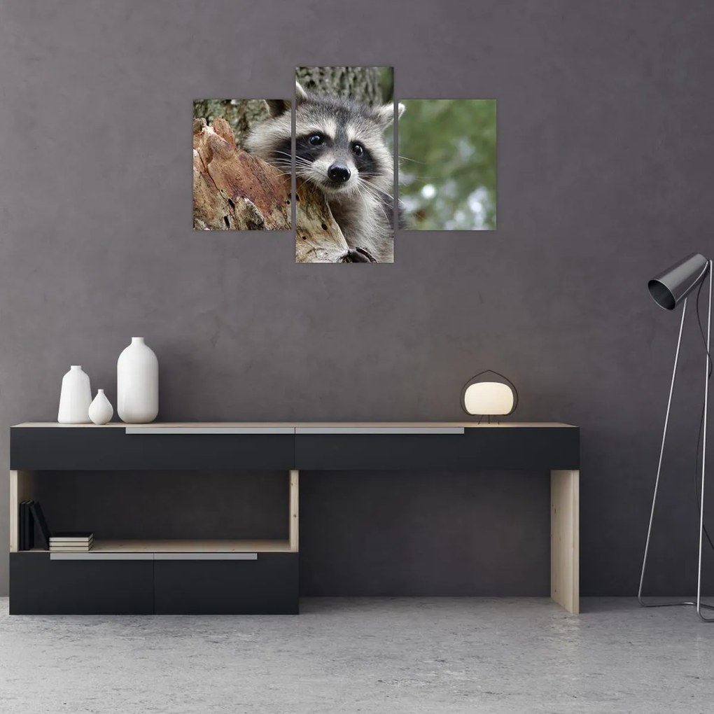 Tablou - Raton (90x60 cm)