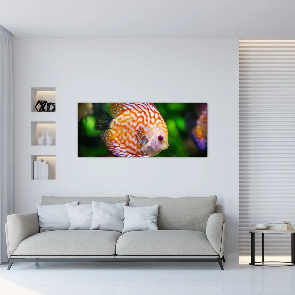 Tablou cu pește (120x50 cm)