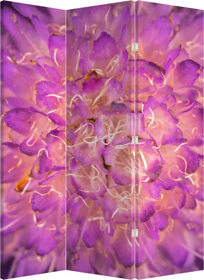 Paravan - Floare detailat (126x170 cm)
