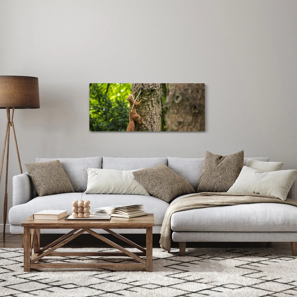 Tablou - Veverița (120x50 cm)