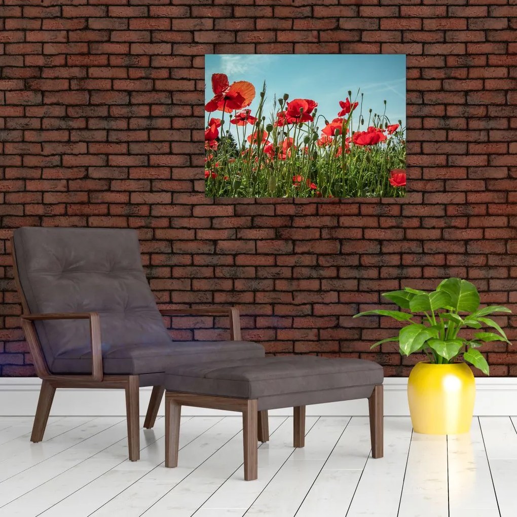 Tablou pe sticlă - Pe câmpul cu maci (70x50 cm)