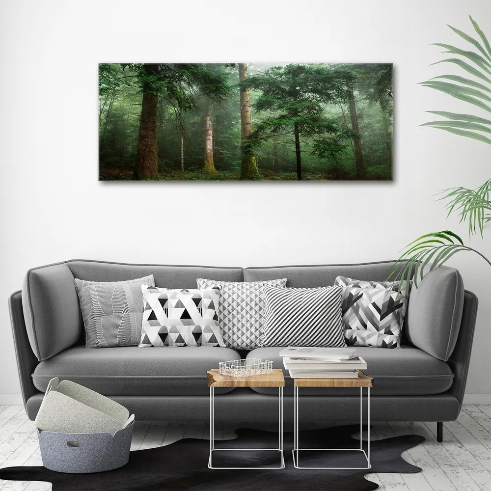 Tablou pe pânză canvas Ceață în pădure