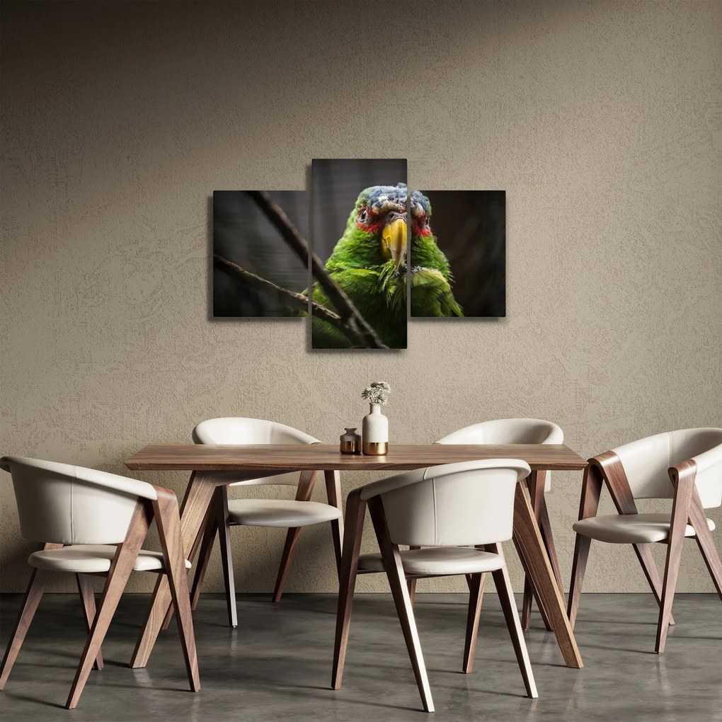 Tablou cu papagal (90x60 cm)