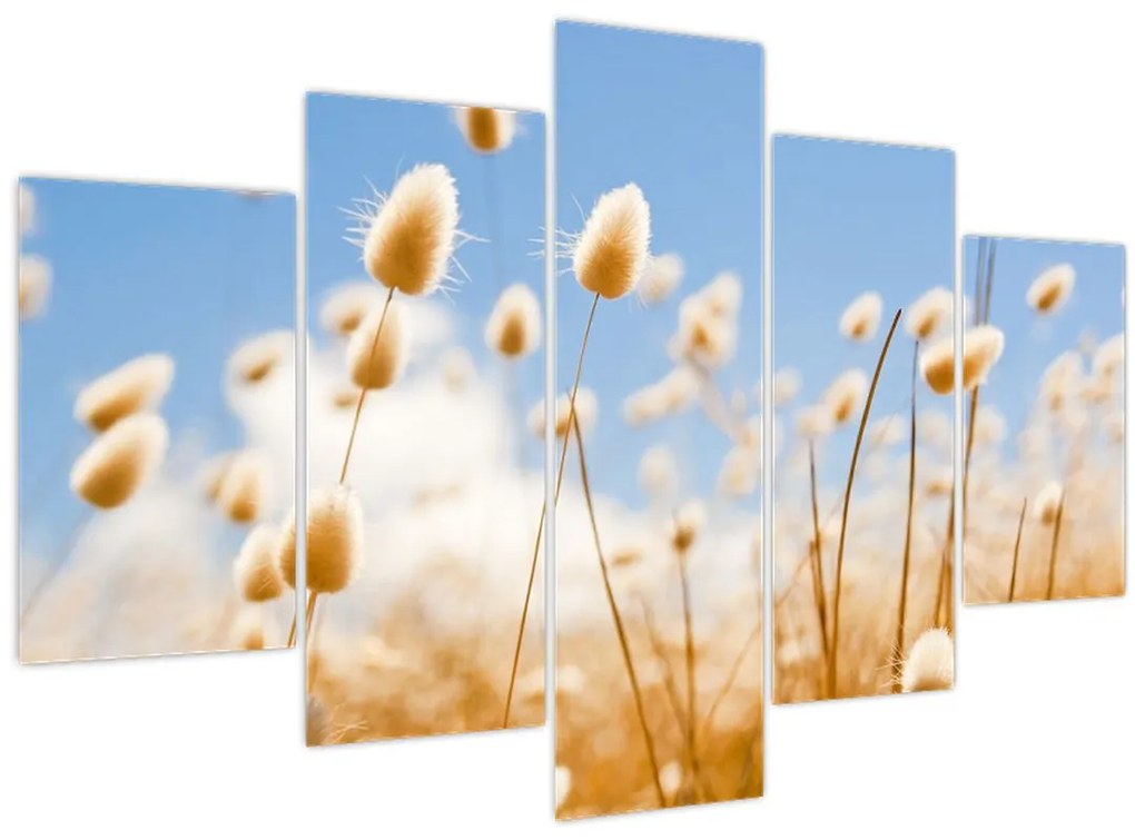 Tablou - Câmp de aur (150x105 cm)