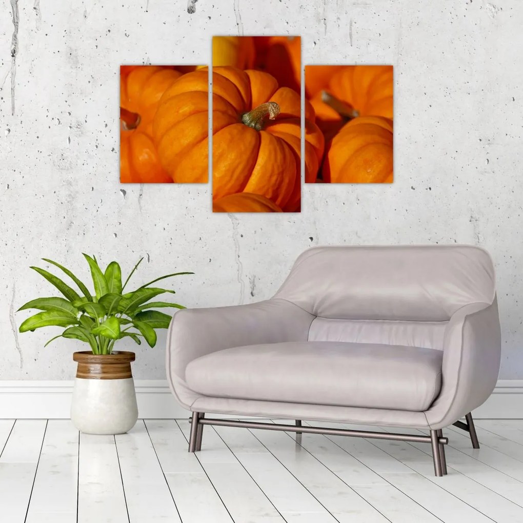 Tablou - Dovleci mari (90x60 cm)