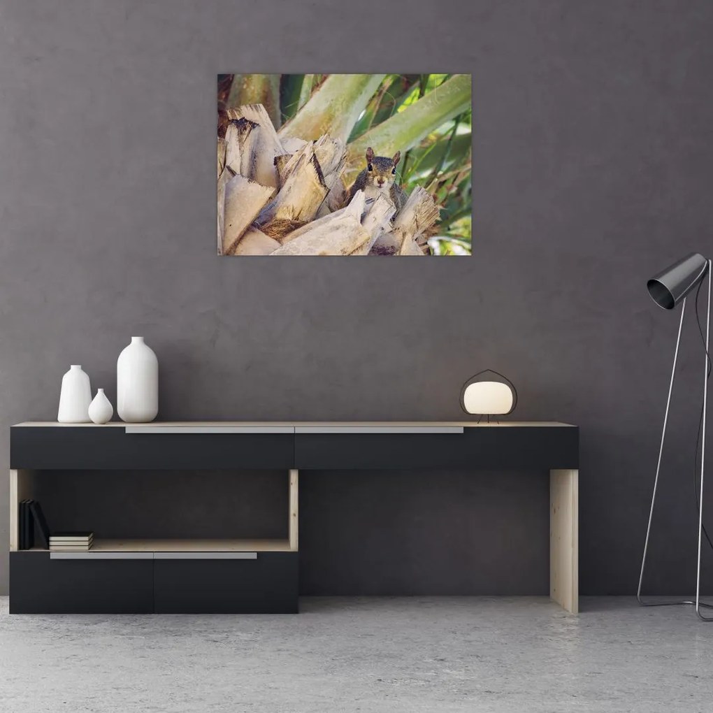 Tablou pe sticlă cu veverița în copaci (70x50 cm)