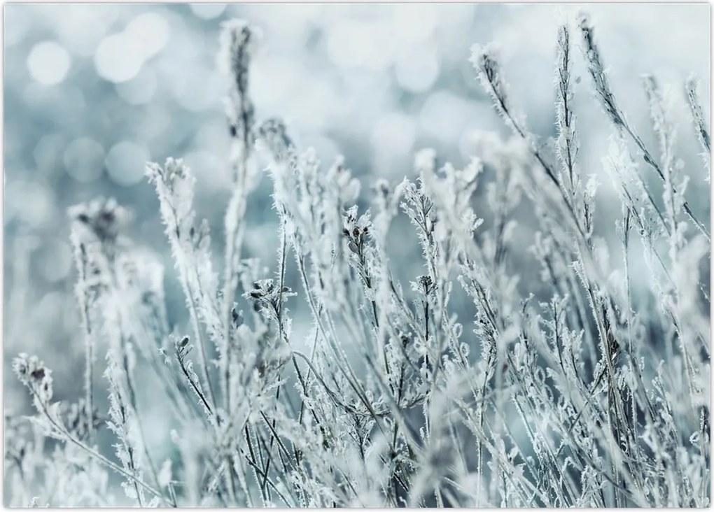 Tablou - Magia iernii (70x50 cm)