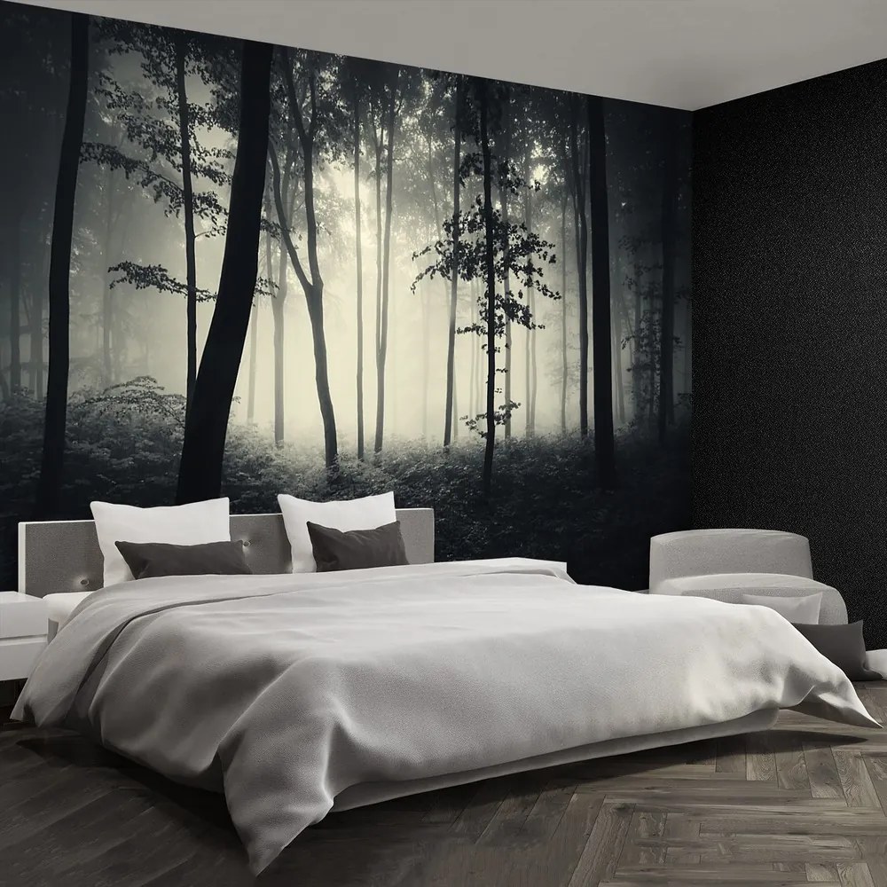 Fototapet Misty Forest