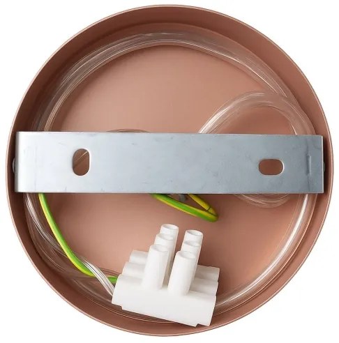 Aplica de perete CAPITAL 1xGX53/15W/230V aur roz