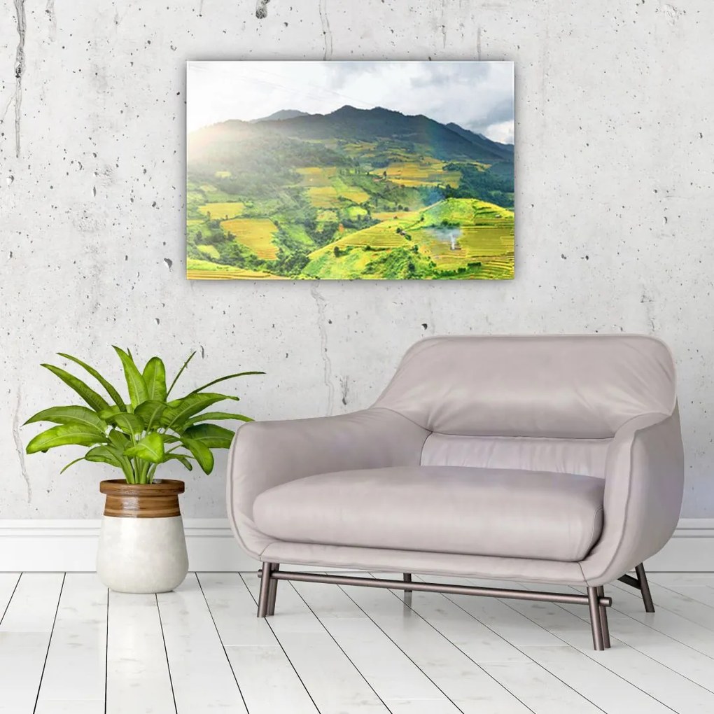 Tablou plantație (90x60 cm)
