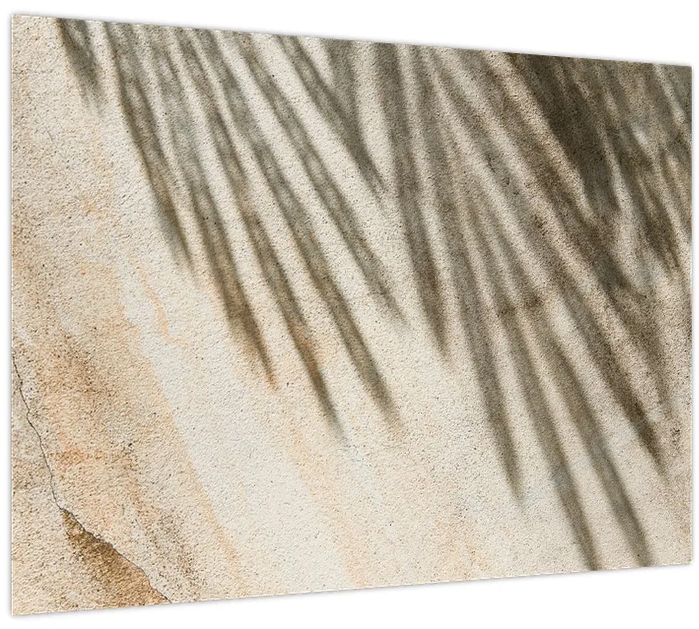 Tablou - Umbre (70x50 cm)