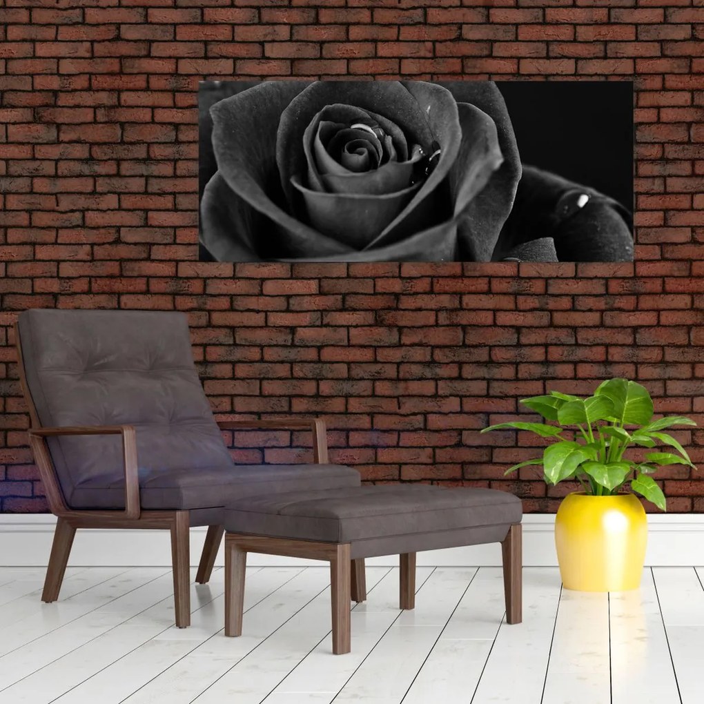 Tablou - Trandafir roșu aprins (120x50 cm)