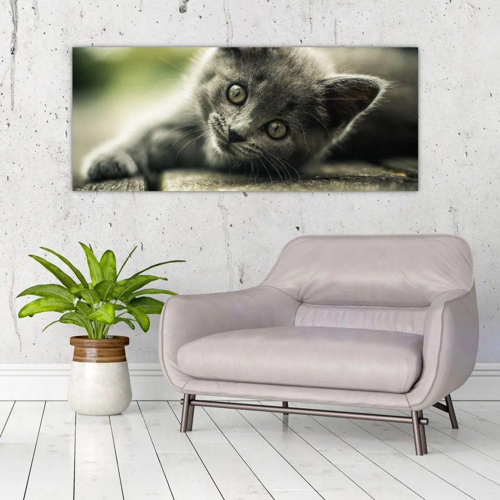 Tablou cu pisicuța (120x50 cm)