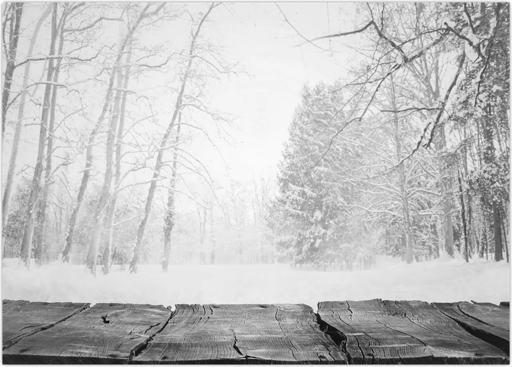 Tablou - Pier de lemn în timpul iernii (70x50 cm)