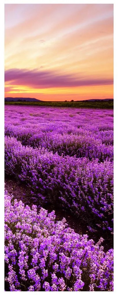 Fotojaluzele R012174R57150 (57x150 cm)