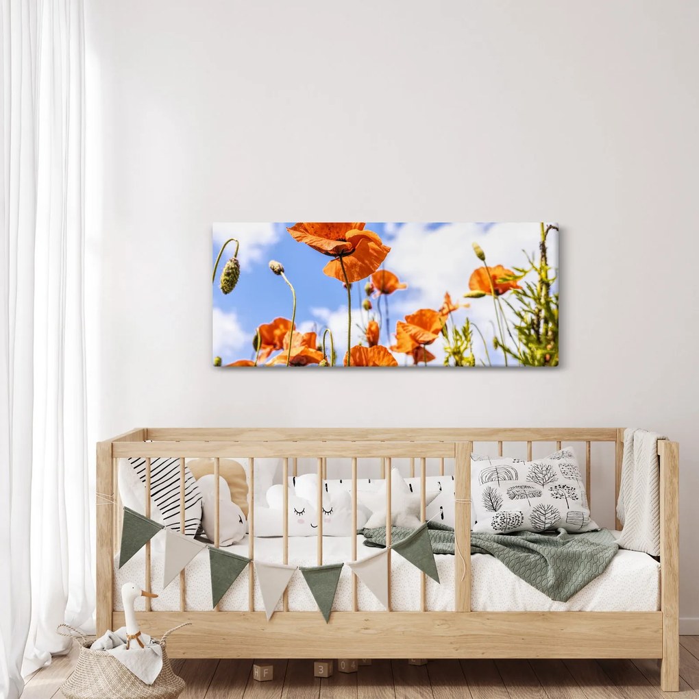 Tablou cu macii (120x50 cm)