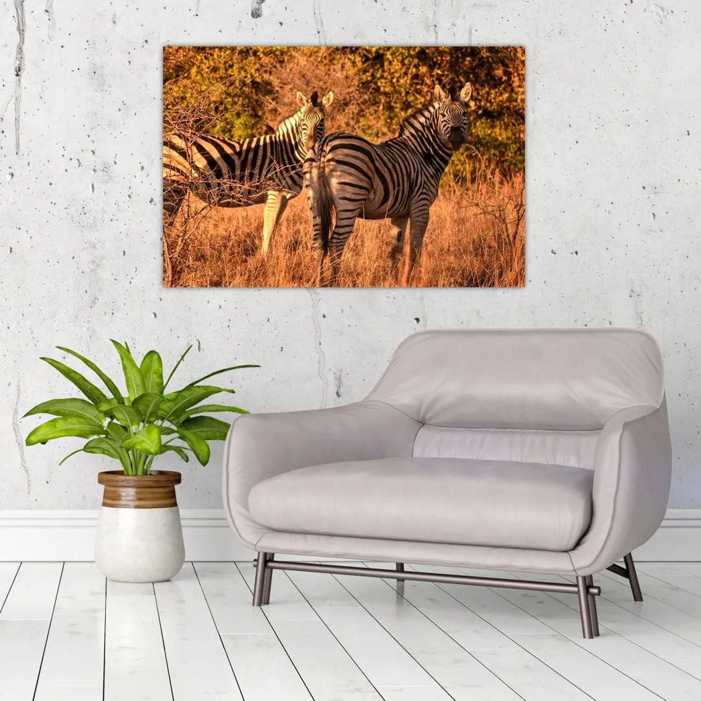 Tablou cu zebre (90x60 cm)