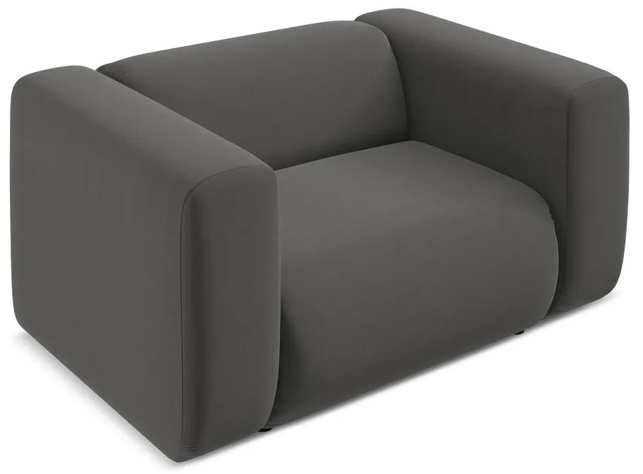 Fotoliu gri cu tapițerie din catifea Ekahi – Makamii