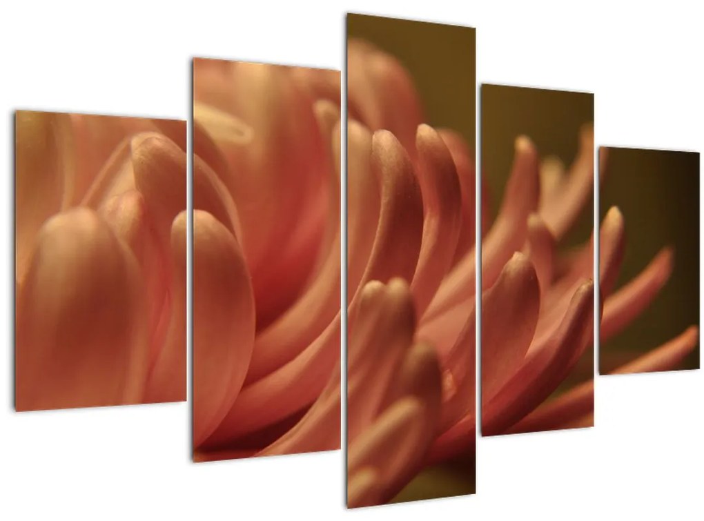 Tablou cu detailu florii (150x105 cm)