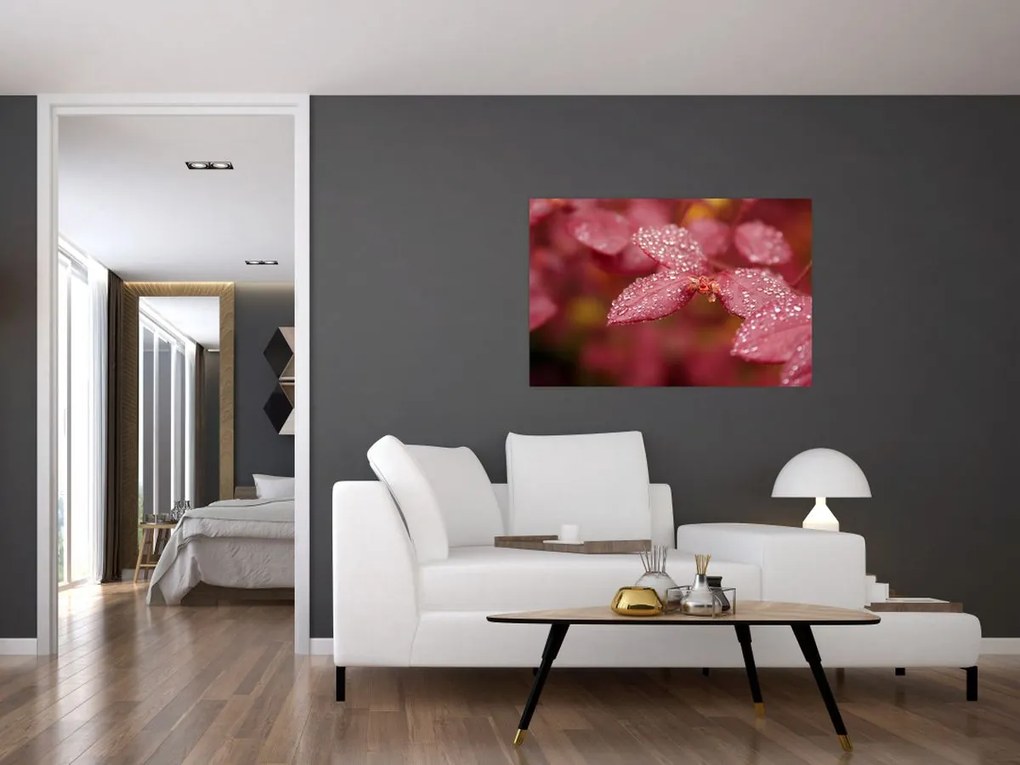 Tablou - Imagine macro a biletului (90x60 cm)