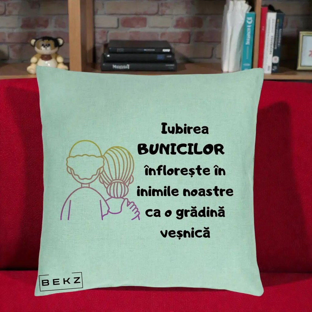 Cadou pentru Bunici - Perna Personalizata Iubirea Bunicilor Infloreste Cuplu Line Art Gradient, 40x40 cm, Verde Menta, Husa Detasabila, Perna Inclusa, BEKZ®