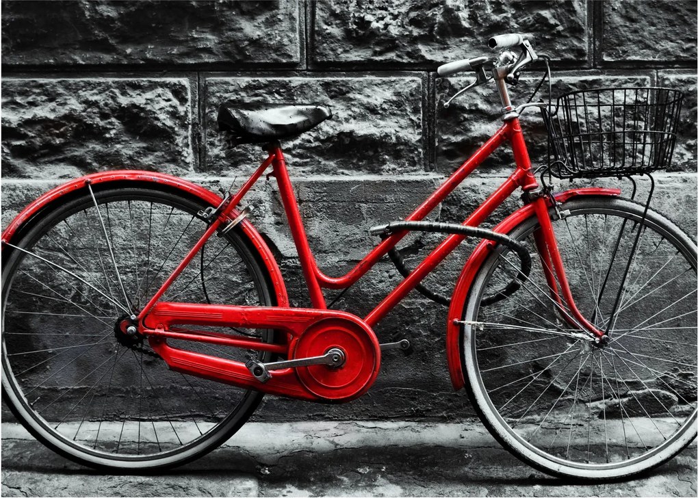 Tablou - Bicicleta istorică (70x50 cm)